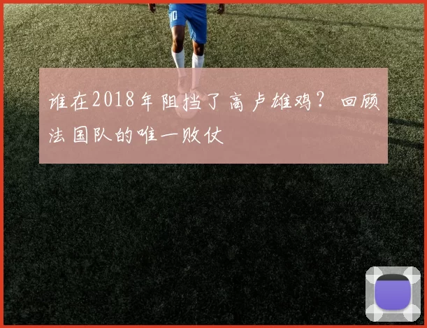 谁在2018年阻挡了高卢雄鸡?回顾法国队的唯一败仗