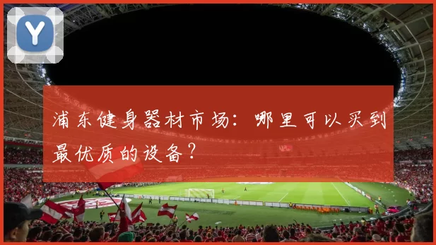 浦东健身器材市场:哪里可以买到最优质的设备?