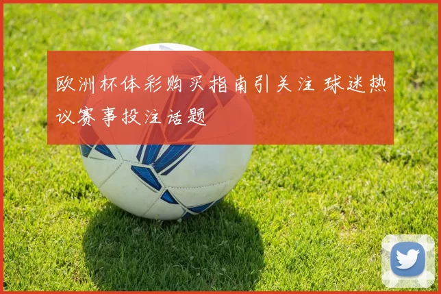 欧洲杯体彩购买指南引关注 球迷热议赛事投注话题