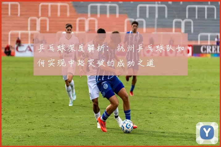 乒乓球深度解析:杭州乒乓球队如何实现中路突破的成功之道