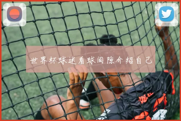 世界杯球迷看球间隙介绍自己