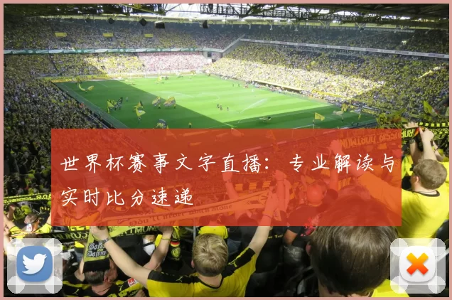 世界杯赛事文字直播:专业解读与实时比分速递