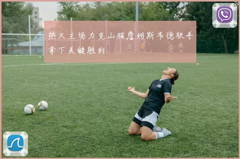 热火主场力克山猫詹姆斯韦德联手拿下关键胜利
