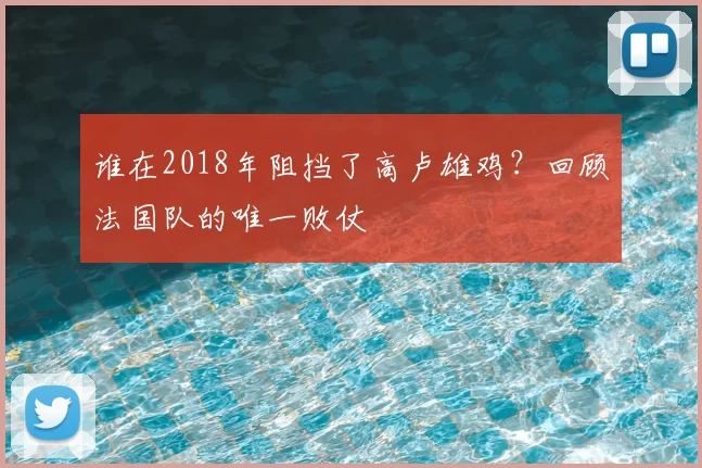 谁在2018年阻挡了高卢雄鸡?回顾法国队的唯一败仗
