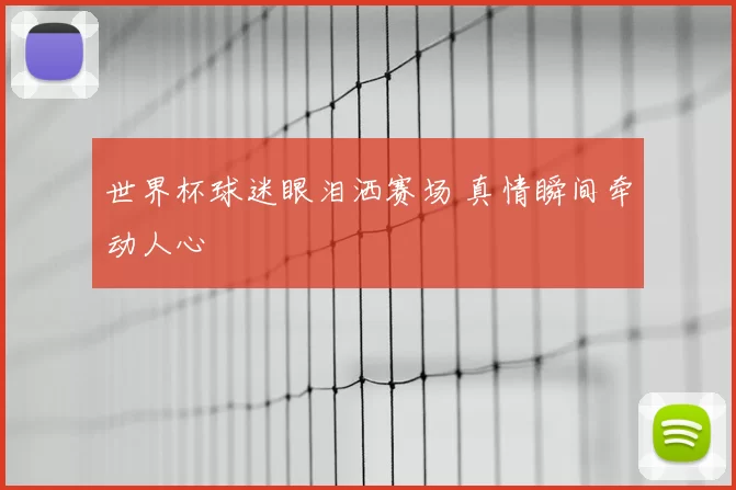 世界杯球迷眼泪洒赛场 真情瞬间牵动人心