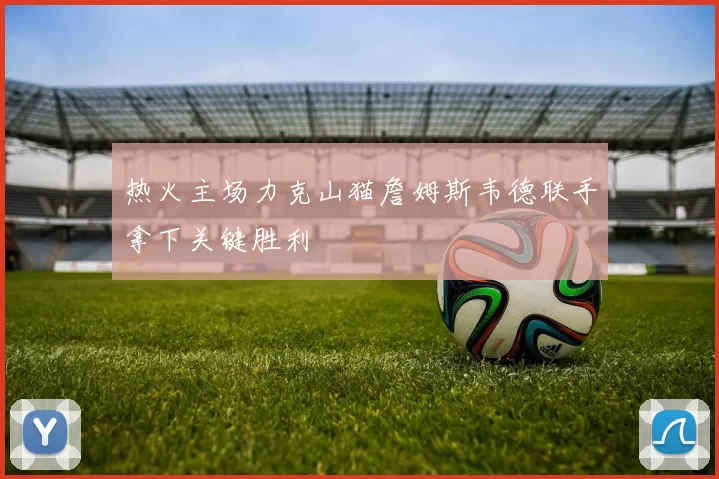 热火主场力克山猫詹姆斯韦德联手拿下关键胜利